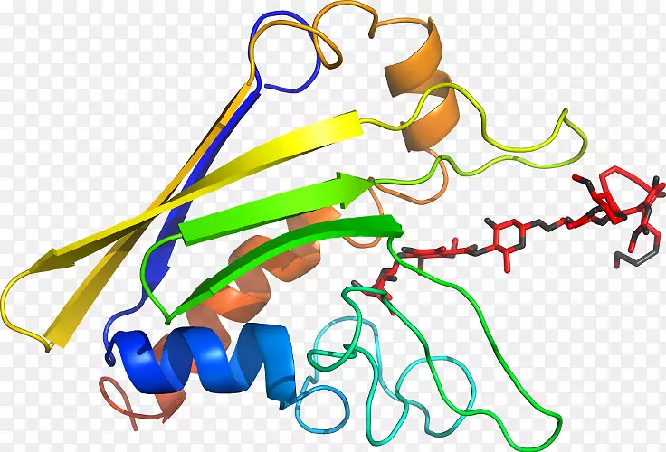 �ߵ������������-������