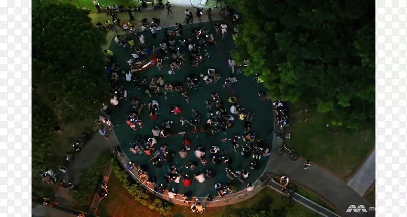 ������ľ����-��-������