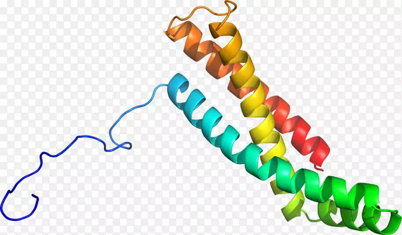 �����鱦���л����������-������