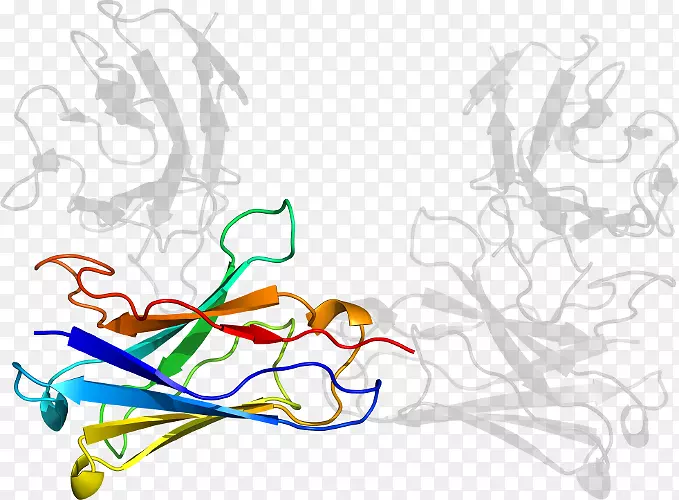 ��������ƽ����Ƽ��������-������