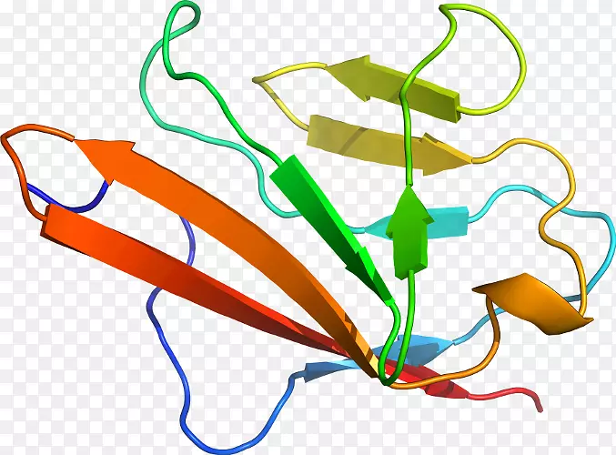 �ߵ������-��-������