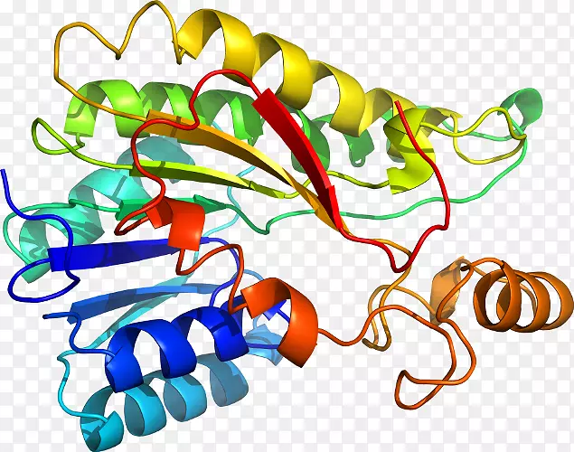 �����鱦���л����������-������