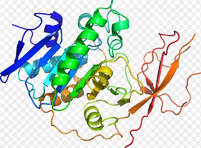 �ߵ�ƽ����Ƽ�������-������