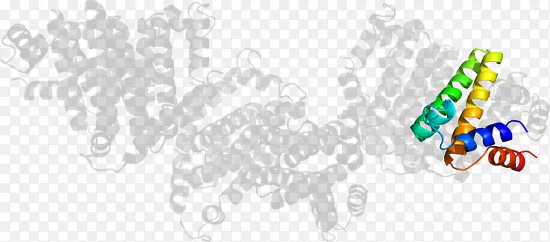 ��־Ʒ���ߵ�������-������