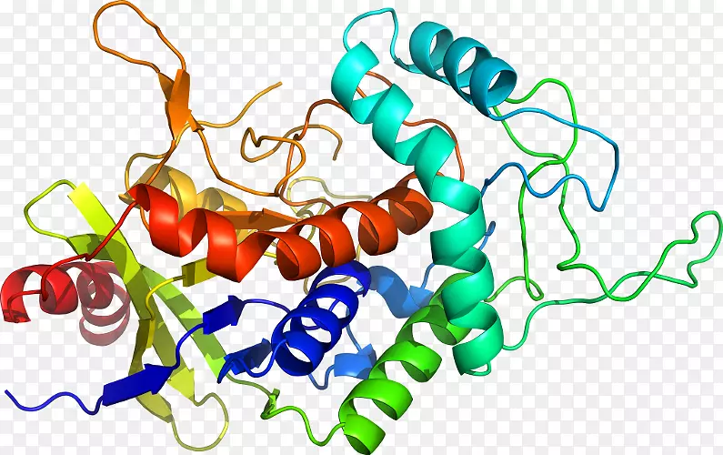 ���������鱦�л����߼�������-������