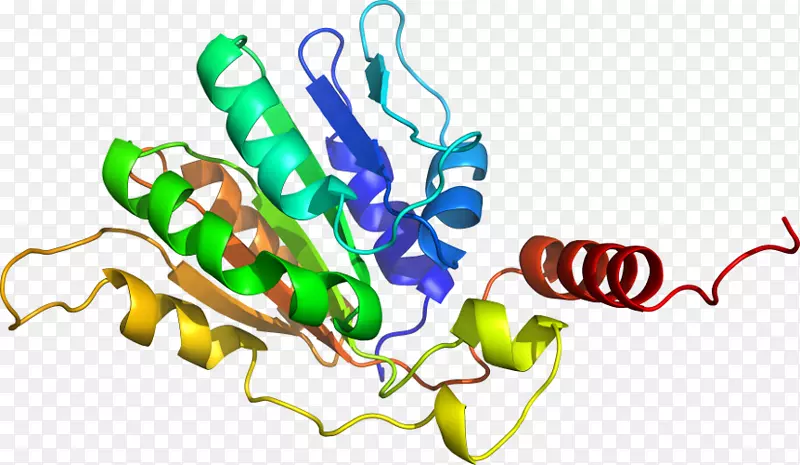 �߲��л���ϵ�м�����-�߲�-������