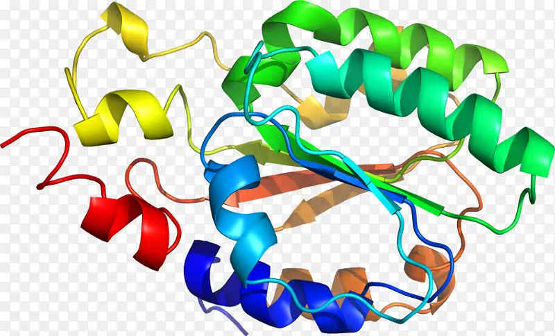 �����鱦�߼�������-������