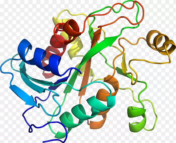 ���������л����߼�������-������