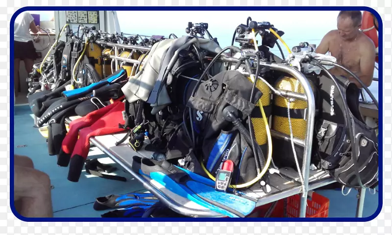 ����������ͨ��16����Ƶ������������Ƶ������-������