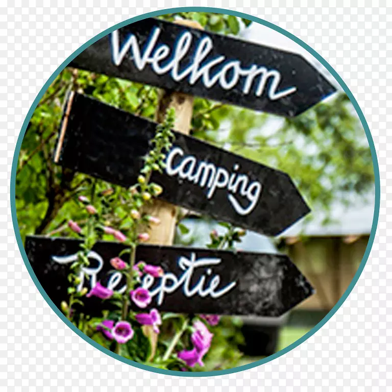 ��-��-������