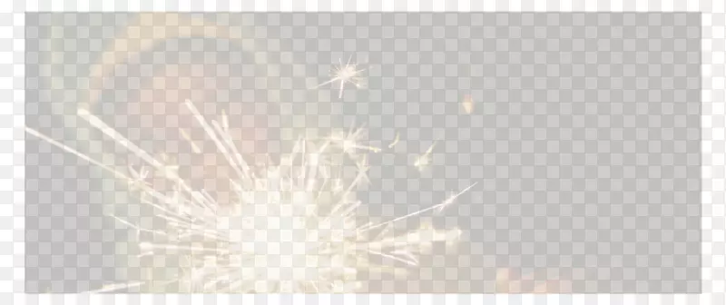 �����ֽ��Ӱ������ë����-������