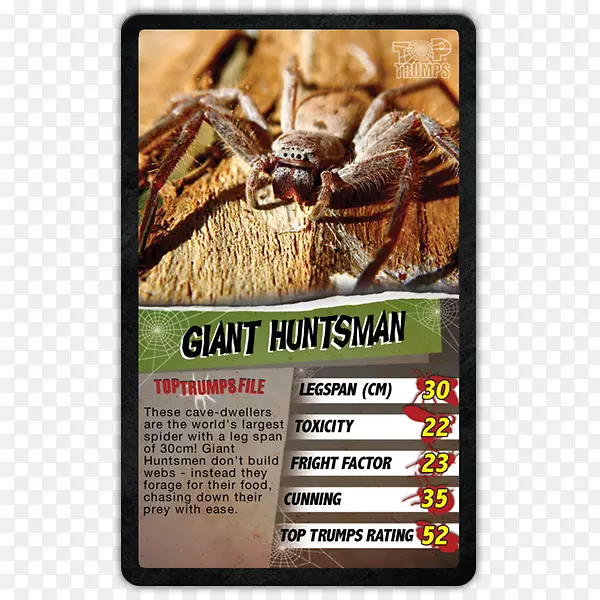 �з֩��Ĵ������޼�׵��������֩��-������