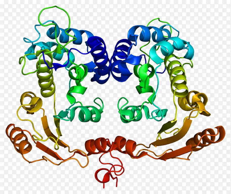 ���������л����߼�������-������