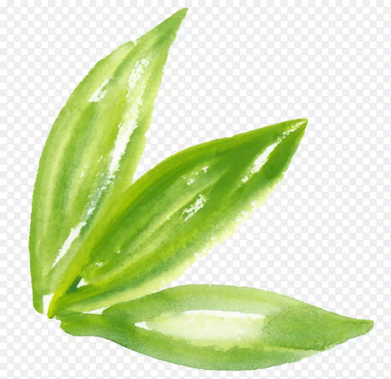 ˮ�ʻ���ɫ-ˮ����Ҷ-������