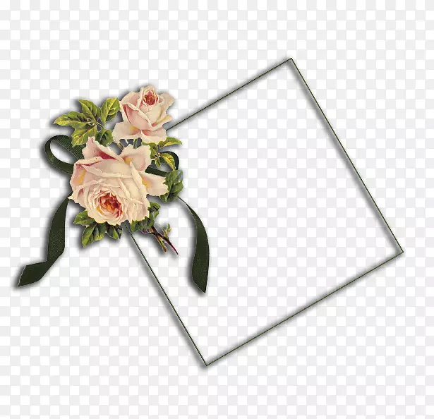 ��������л�����-������