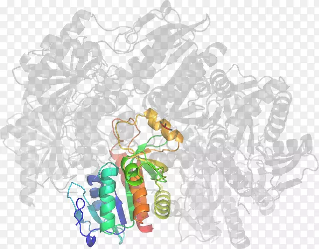 �����ڷ��������鱦����������-������