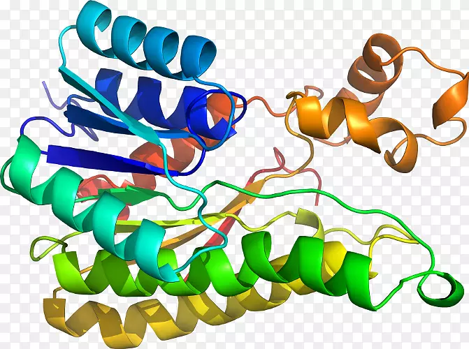 ���������л����߼�������-������