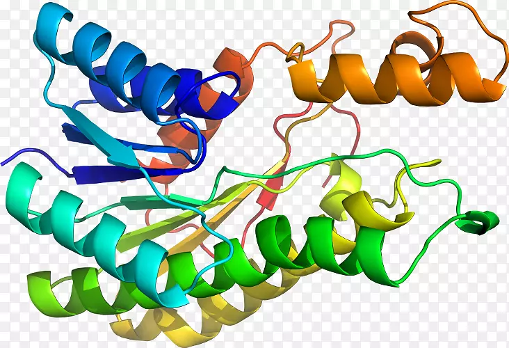 ���������л����߼�������-������