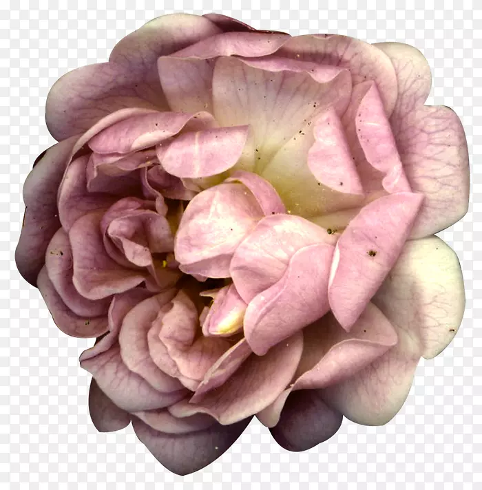 ˮ�ʻ�-ͯ����-������