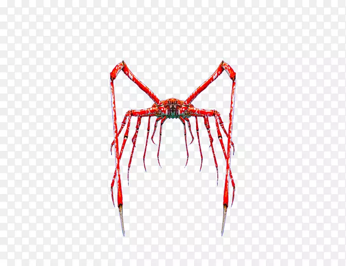 ���θ�����ϵ-������