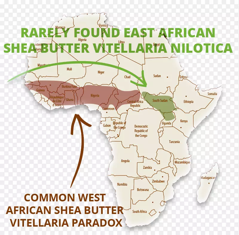 ���߼�����-��-������