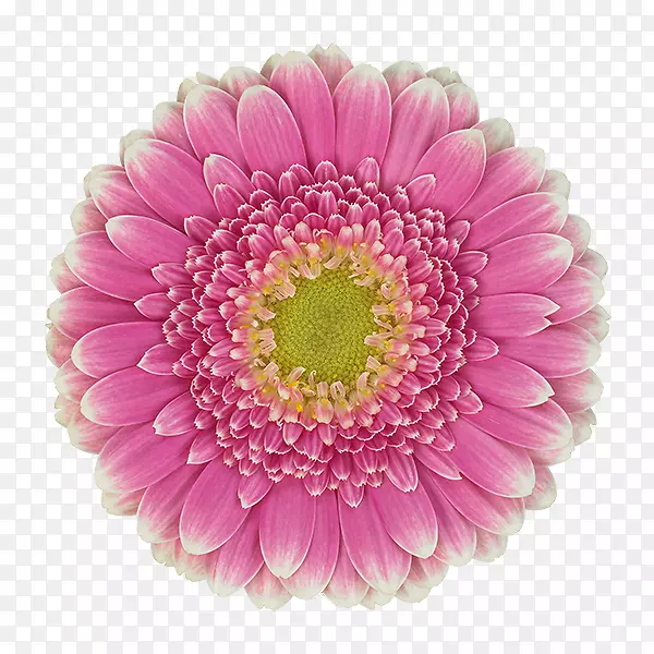 �ջ��л�����ջ�-������