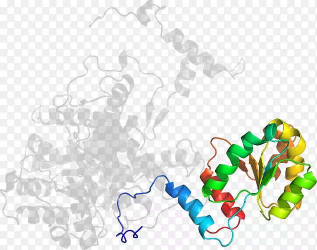 ��ľ������-��-������