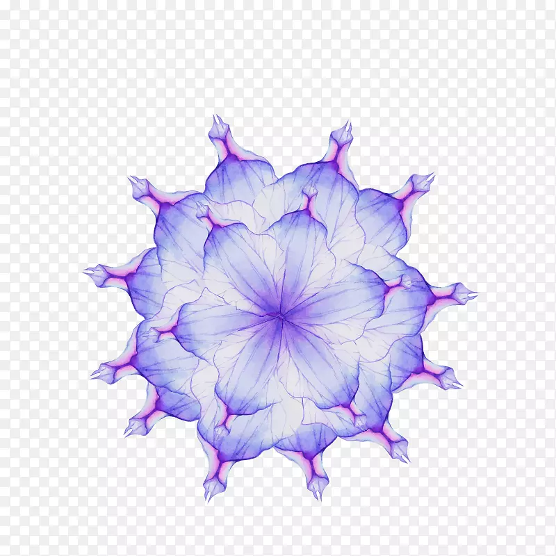 ���ˮ�ʻ�.ĵ��ˮ�ʻ�-������