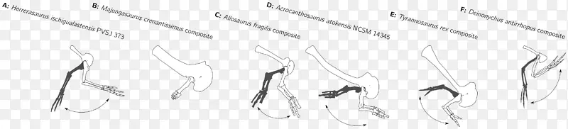 �������-������