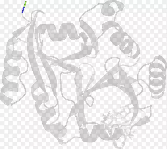 ��ɫ�������-������