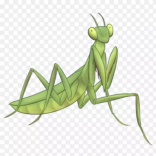 �ȳ������������-������