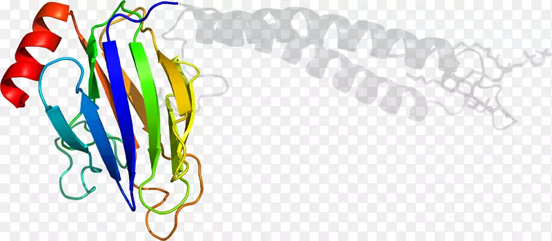 �ߵ������������-������