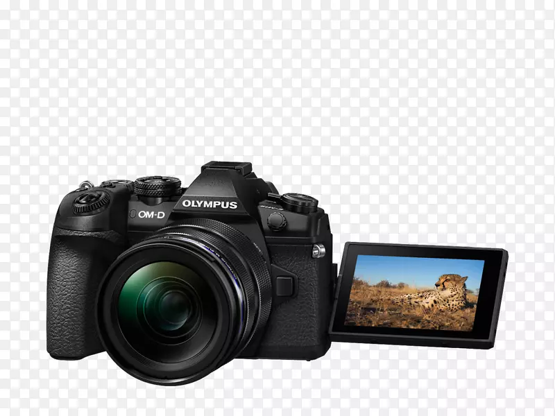 ���ְ�˹om-d-m1��־ii-������