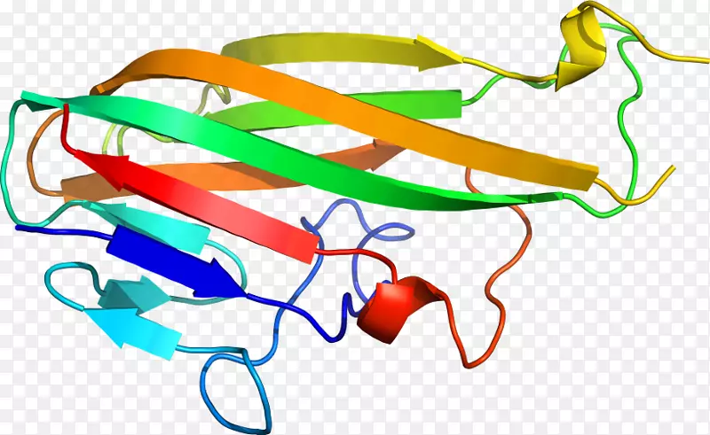 �ߵ������-���ʦ��ĸ-������