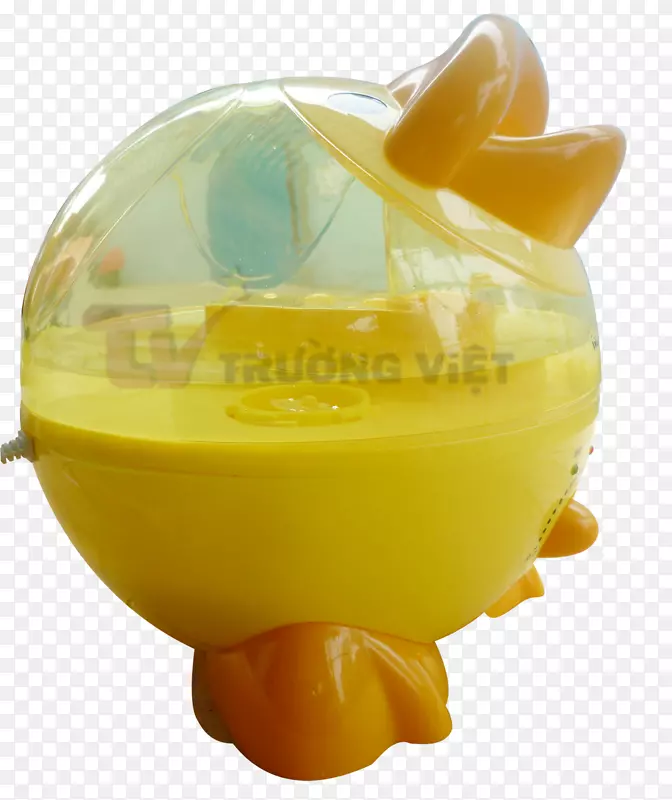 ʳ��-������