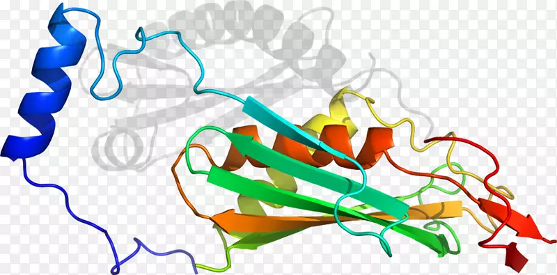 �ߵ������������-������