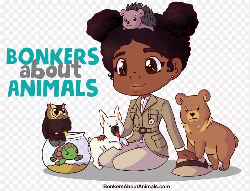 ��è�����ʼ���������-������