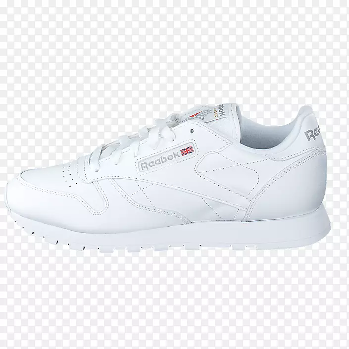 �˶�Ь����ѵ�����-������