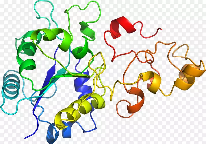 �ߵ������������-������