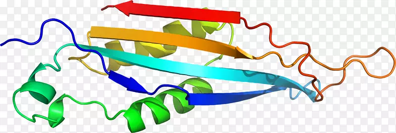 �ߵ������-��-������