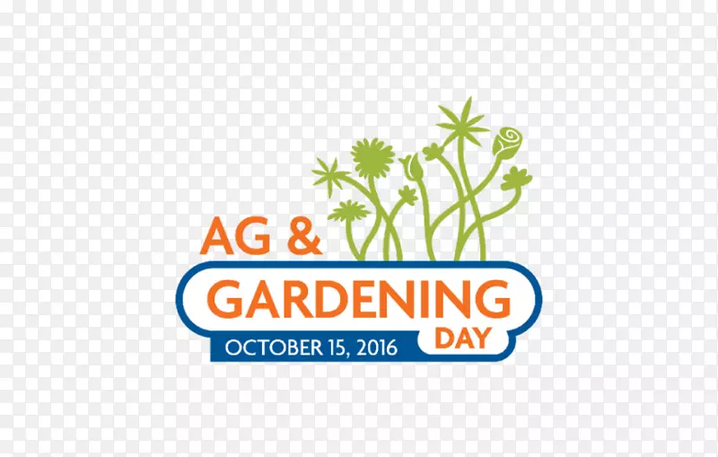 �̱���������-������