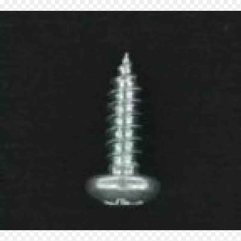 ��˿��-������