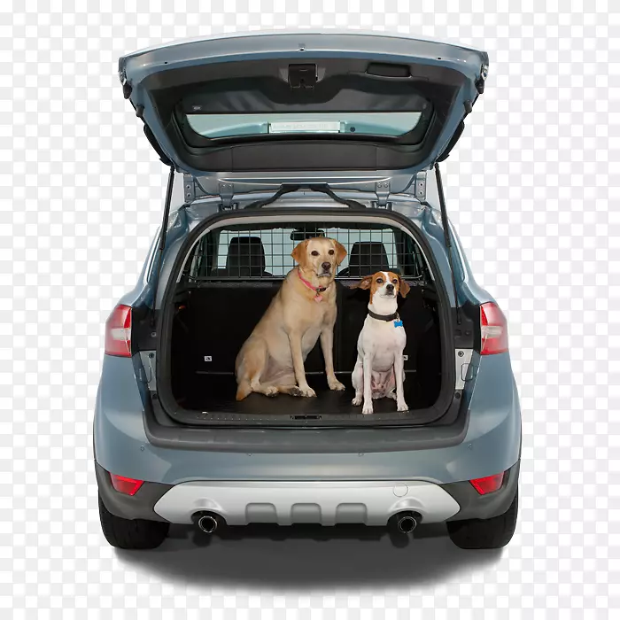 �γ����Űµ��˶��Ͷ๦�ܳ�����-�µ�-������