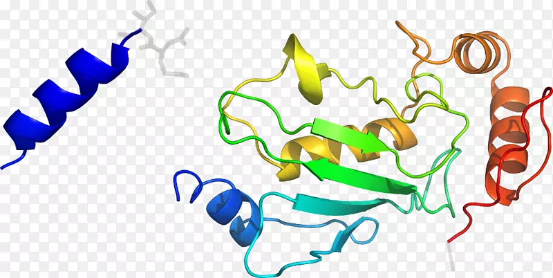 �ߵ������-��-������