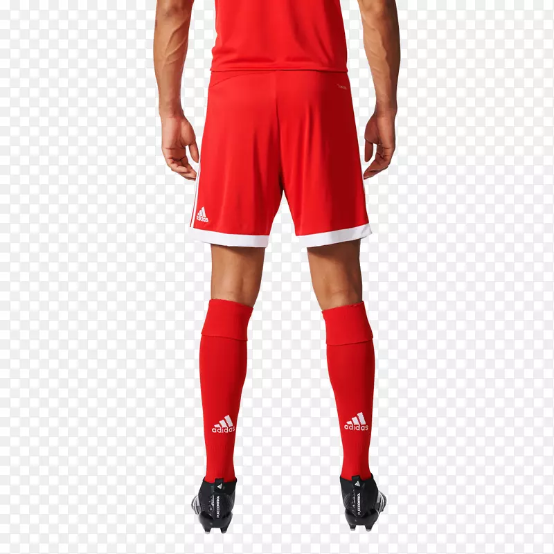 ���ϴ�˹�̿����������Ь��m�ͼ���-������