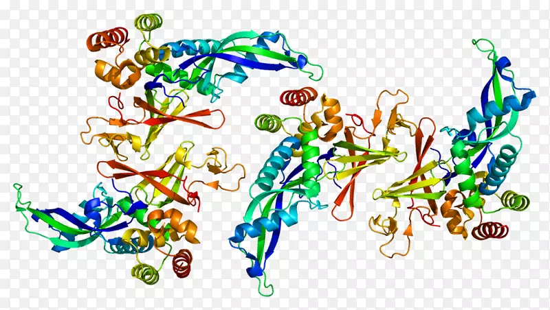 �ߵ������������-������