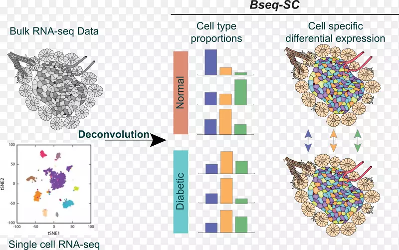 �����鱦������-�鱦-������