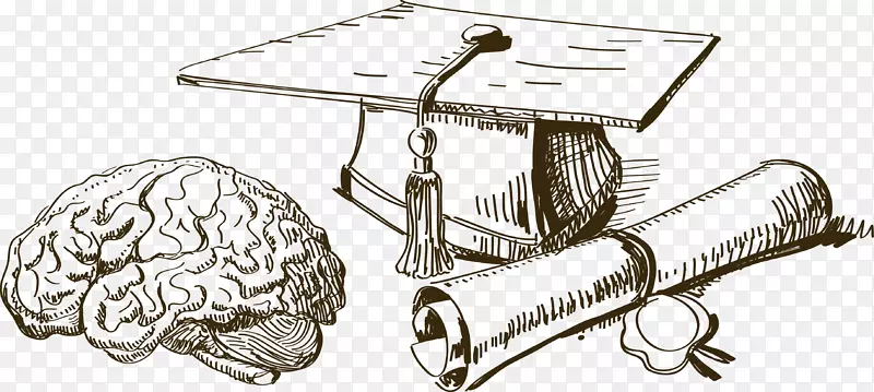 ���Ա�ҵ����ѧ��ѧ-ñ����ѧʿ-������