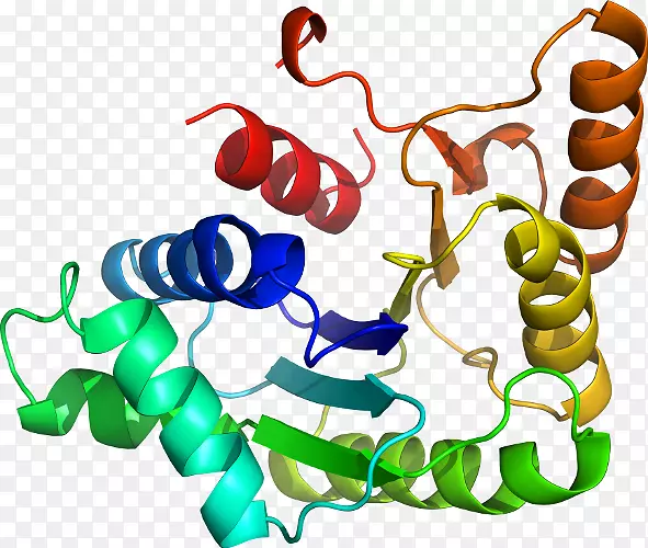 �����߶����������-������