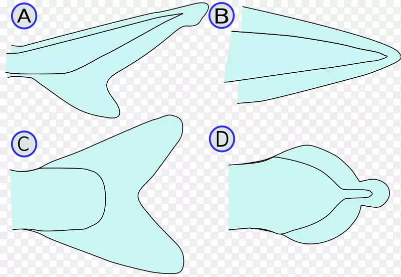 �㣬���-������